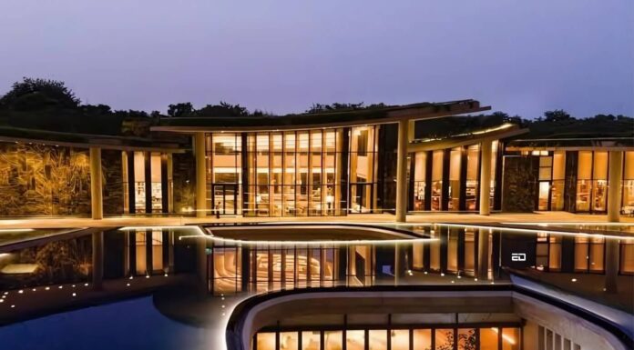 Why Is Camellias The Number One Address To Have In India Right Now? Camellias