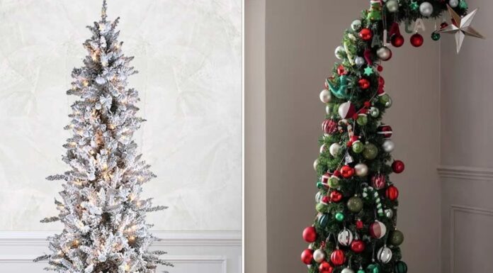 Christmas Trees Are Getting Slimmer: Here’s Why christmas