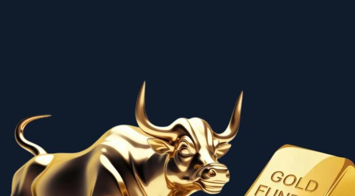 Gold, Mutual Funds Or Real Estate: What Are The Experts Picking In 2025? Mutual Funds