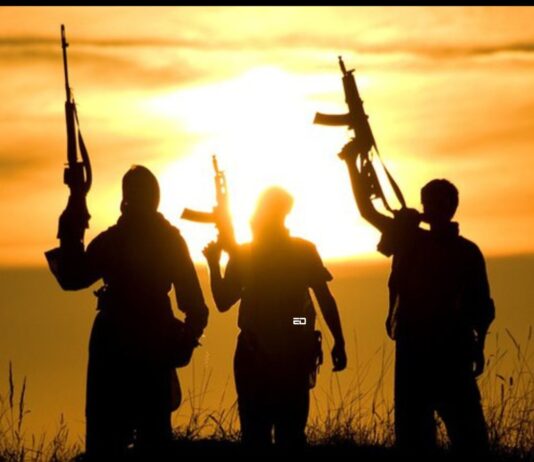 ED Vox Pop: We Ask Gen Z If Terrorism Is Connected To Religion terror