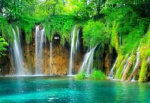 Breakfast Babble: Why Not Clicking My Own Pictures On Trips Makes Me Happy pictures