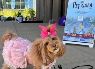Forget The Met Gala, See Tiny Tuxedos And Pearls In Adorable ‘Pet Gala’ Pet Gala