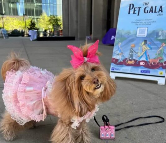 Forget The Met Gala, See Tiny Tuxedos And Pearls In Adorable ‘Pet Gala’ Pet Gala