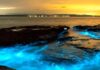 Why Is Radhanagar Beach Called The Best Beach In Asia And Where Is It? Radhanagar Beach