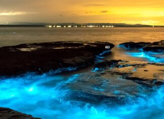 Why Is Radhanagar Beach Called The Best Beach In Asia And Where Is It? Radhanagar Beach