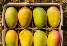 Are Indians Eating And Exporting Poisonous Food Products? Export