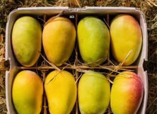 Are Indians Eating And Exporting Poisonous Food Products? Export