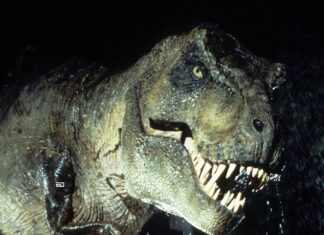 Back In Time: 33 Years Ago Today, Jurassic Park Changed Our Childhood Jurassic Park