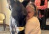 Donkeys Are Helping Patients In Paris: This Is How donkeys
