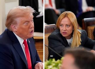 Why Are Italy’s Meloni And Trump Fighting? meloni